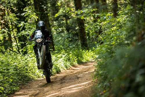 Dune 125 wald